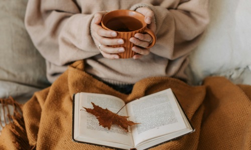 Learn more about FLATZ 520 Cover Image